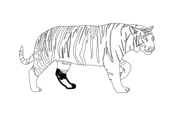 Download Tiger Vector Design Outline - Premium Resources